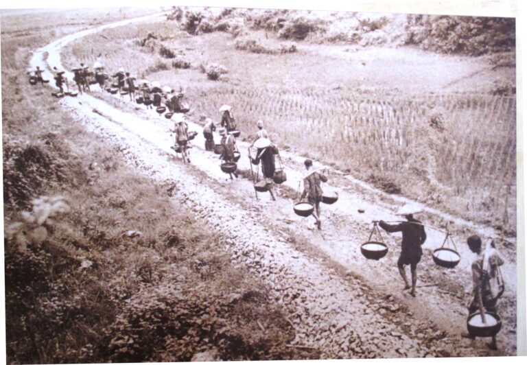 The shoulder pole was used to transport rice, food, medicine,... during the war time